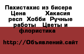 Пахистахис из бисера › Цена ­ 850 - Хакасия респ. Хобби. Ручные работы » Цветы и флористика   